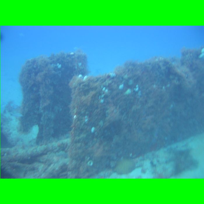 Dive WP Wrecks 25-Oct-09_412.JPG